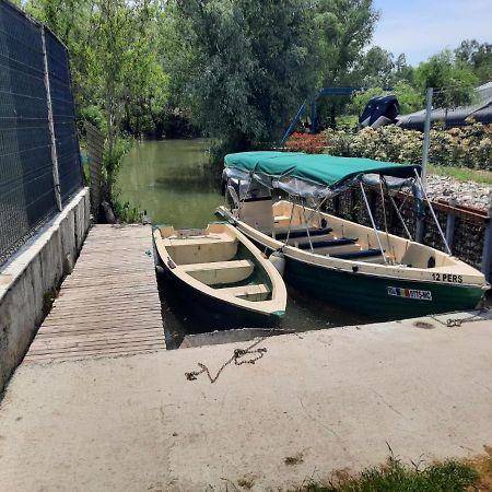 Cabanele Deltei Dunavatu de Jos Luaran gambar