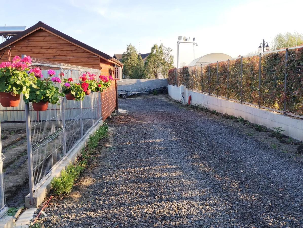 Cabanele Deltei Dunavatu de Jos Luaran gambar